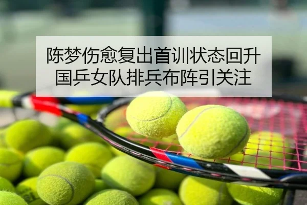 陈梦伤愈复出首训状态回升 国乒女队排兵布阵引关注