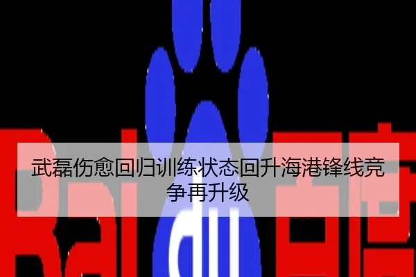 武磊伤愈回归训练状态回升海港锋线竞争再升级